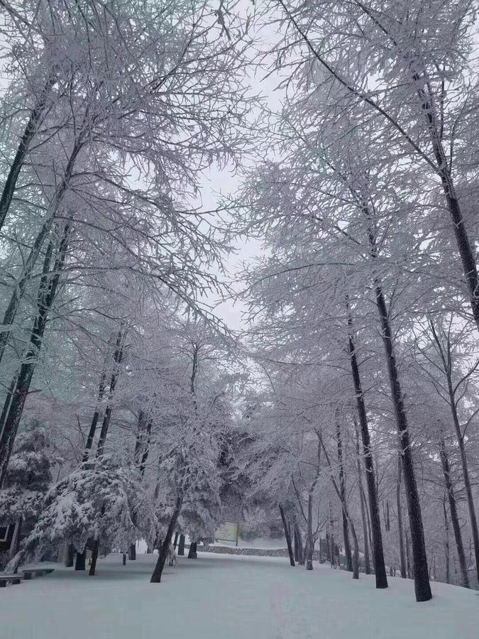 Villa Mogan Mountain Xiaomusensen à Deqing Extérieur photo